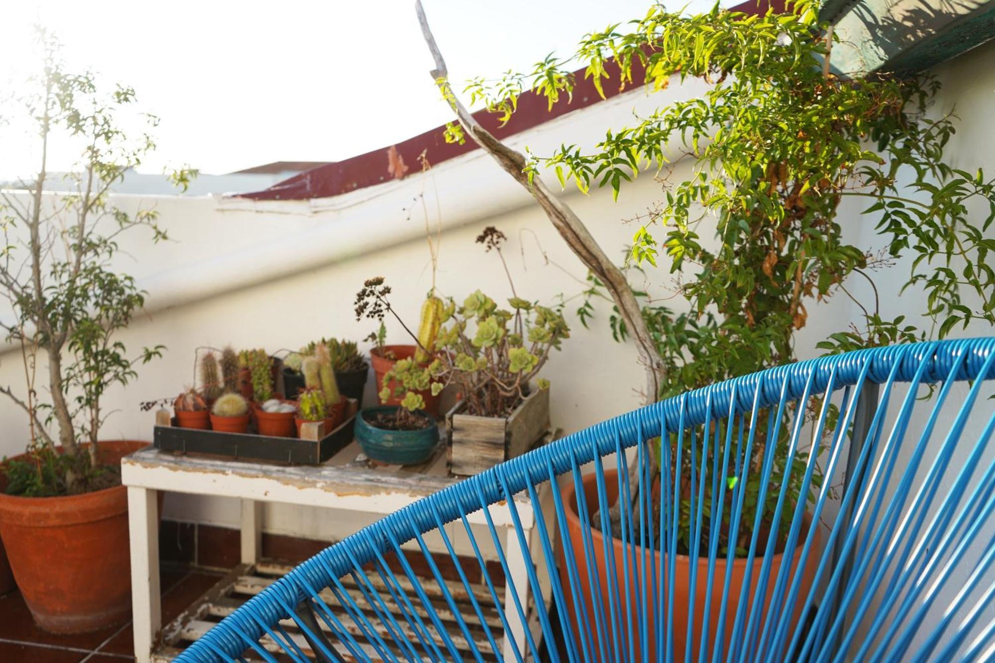 Vic Aveiro Arts House Hotel Bagian luar foto